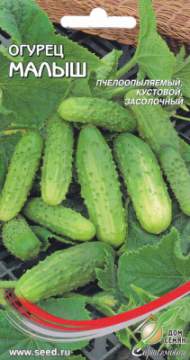 Огурец Малыш (дом семян) 10 шт