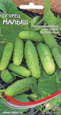 Огурец Малыш (дом семян) 10 шт  – купить в г. Омск