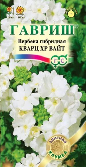 Вербена Кварц хр вайт (гавриш) 4 шт  – купить в г. Омск