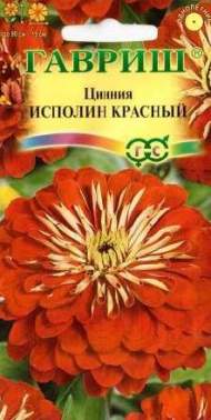 Цинния Исполин красный (гавриш) 0,3 гр Цинния Исполин красный (гавриш) 0,3 гр
