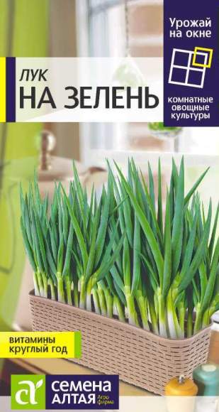 Лук на зелень (семена Алтая) 0,5гр (урожай на окне) – купить в г. Омск Лук на зелень (семена Алтая) 0,5гр (урожай на окне) – купить в г. Омск