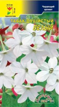 Душистый декоративный табак Белый (цветущий сад) 0,1 гр Душистый декоративный табак Белый (цветущий сад) 0,1 гр