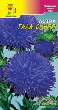 Астра Гала синяя (цветущий сад) 0,1 гр Астра Гала синяя (цветущий сад) 0,1 гр