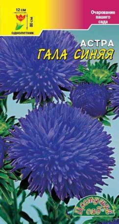 Астра Гала синяя (цветущий сад) 0,1 гр – купить в г. Омск Астра Гала синяя (цветущий сад) 0,1 гр – купить в г. Омск