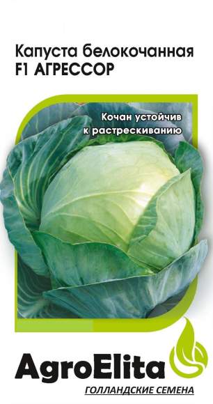 Капуста б/к Агрессор F1 (агроэлита) 10шт  – купить в г. Омск