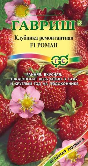 Клубника Роман F1 (гавриш) 5 шт  – купить в г. Омск