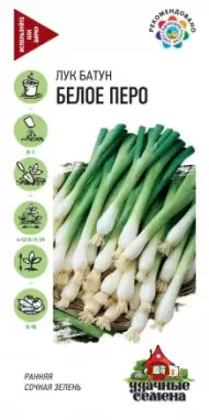 Лук на зелень Белое перо (удачные семена) 0,5гр