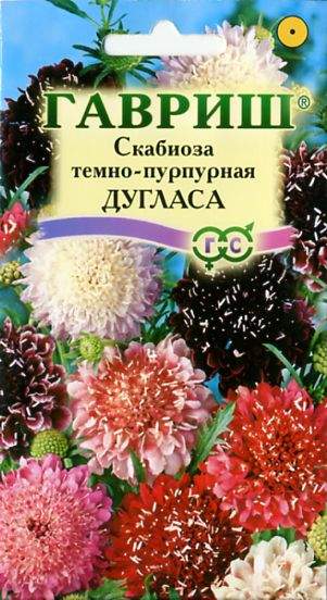 Скабиоза темно-пурпурная смесь Дугласа (гавриш) 0,2гр  – купить в г. Омск
