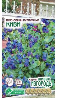 Восковник Киви (евросемена) 5 шт