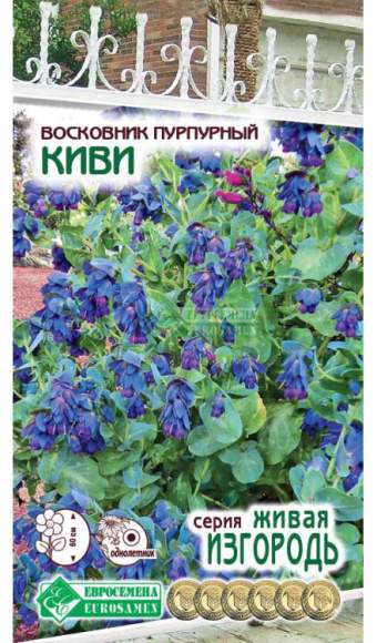 Восковник Киви (евросемена) 5 шт – купить в г. Омск Восковник Киви (евросемена) 5 шт – купить в г. Омск