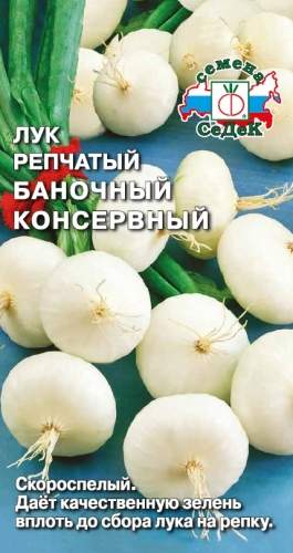 Лук Баночный консервный (седек) 0,5 гр  – купить в г. Омск