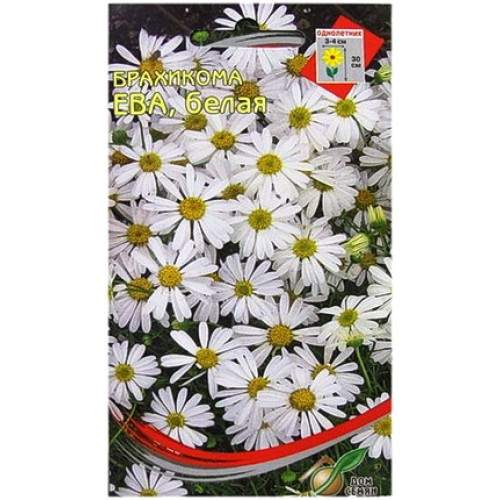 Брахикома Ева белая (дом семян) 180 шт