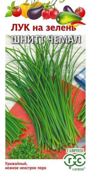 Лук шнитт на зелень Чемал (гавриш) 0,5 гр  – купить в г. Омск