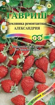 Земляника Александрия (гавриш) 0,03 гр