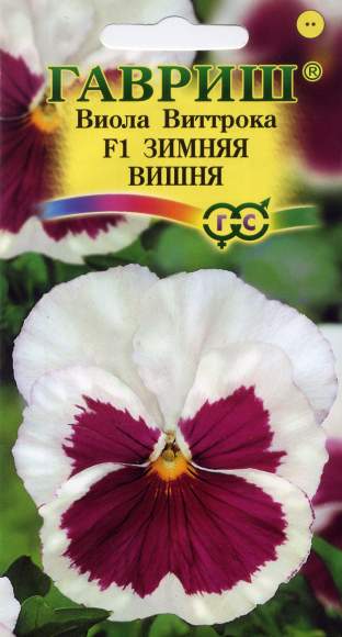 Виола Зимняя вишня (гавриш) 5 шт  – купить в г. Омск