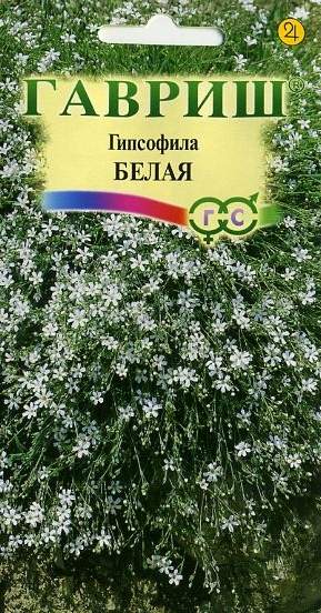 Гипсофила ползучая белая (гавриш) 0,05гр   – купить в г. Омск