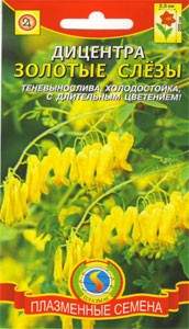 Дицентра Золотые слезы (плазмас) 3 шт  – купить в г. Омск