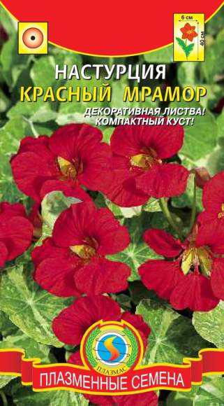 Настурция Красный мрамор (плазмас) 6шт  – купить в г. Омск