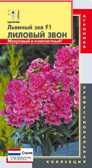 Львиный зев Лиловый звон F1 (плазмас) 10шт  – купить в г. Омск