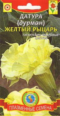 Датура Желтый рыцарь (п) 3шт  – купить в г. Омск