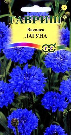 Василек Лагуна (гавриш) 0,2гр  – купить в г. Омск