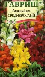 Львиный зев среднерослый (гавриш) 0,05гр  – купить в г. Омск