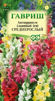 Антирринум (львиный зев) Среднерослый (гавриш) 0,05 гр Антирринум (львиный зев) Среднерослый (гавриш) 0,05 гр