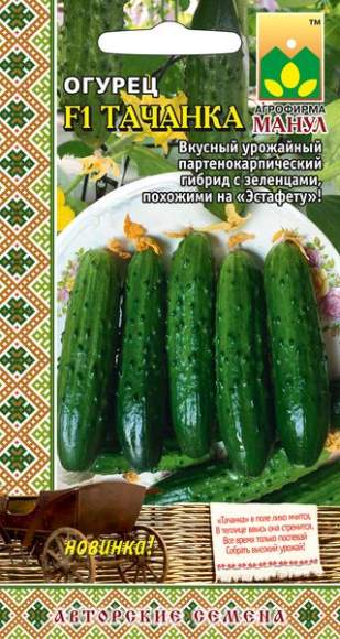Огурец Тачанка F1 (манул) 10шт  – купить в г. Омск