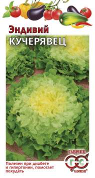 Эндивий Кучерявец (г) 0,1гр