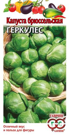 Капуста брюссельская Геркулес (гавриш) 0,2 гр – купить в г. Омск Капуста брюссельская Геркулес (гавриш) 0,2 гр – купить в г. Омск