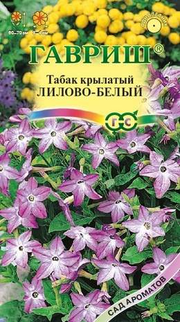 Душистый декоративный табак Лилово-белый (гавриш) 0,05гр – купить в г. Омск Душистый декоративный табак Лилово-белый (гавриш) 0,05гр – купить в г. Омск