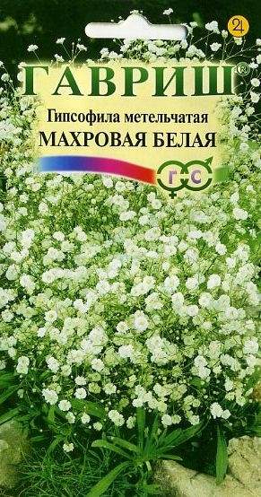 Гипсофила Махровая белая (гавриш) 0,05гр  – купить в г. Омск