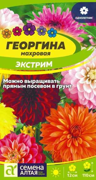 Георгина махровая Экстрим (семена Алтая) 0,2гр  – купить в г. Омск