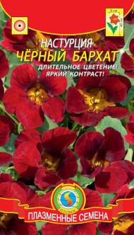 Настурция Черный бархат (плазмас) 6 шт