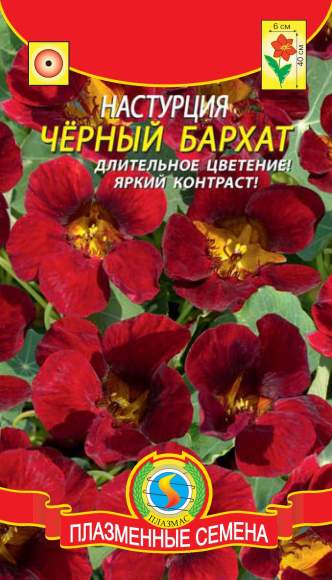 Настурция Черный бархат (плазмас) 6 шт  – купить в г. Омск
