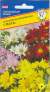 Хризантема Индийская махровая смесь (престиж) 0,05 гр  – купить в г. Омск