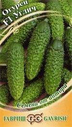 Огурец Углич F1 (гавриш) 10 шт Огурец Углич F1 (гавриш) 10 шт