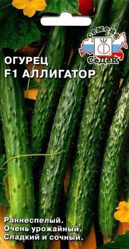 Огурец Аллигатор F1 (седек) 0,2 гр – купить в г. Омск Огурец Аллигатор F1 (седек) 0,2 гр – купить в г. Омск