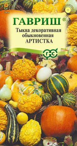 Тыква декоративная Артистка смесь (гавриш) 0,5гр – купить в г. Омск Тыква декоративная Артистка смесь (гавриш) 0,5гр – купить в г. Омск