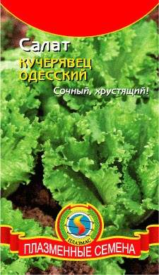 Салат полукочанный Одесский кучерявец (плазмас) 0,5 гр  – купить в г. Омск