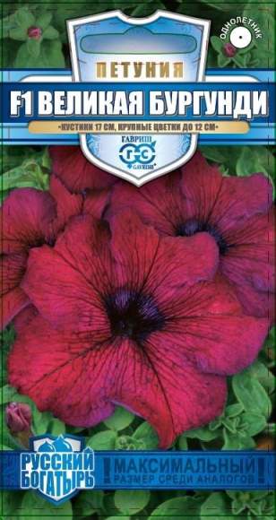 Петуния Великая бургунди F1 (гавриш) 7шт  – купить в г. Омск