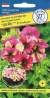 Петуния мультифлора Шейк Разберри F1 (престиж) 5шт  – купить в г. Омск