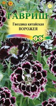 Гвоздика Ворожея китайская (гавриш) 0,05 гр Гвоздика Ворожея китайская (гавриш) 0,05 гр