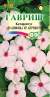 Катарантус Пацифика ХР Априкот (гавриш) 5шт  – купить в г. Омск