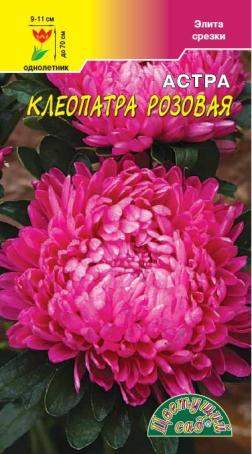 Астра Клеопатра розовая (цветущий сад) 0,2 гр – купить в г. Омск Астра Клеопатра розовая (цветущий сад) 0,2 гр – купить в г. Омск