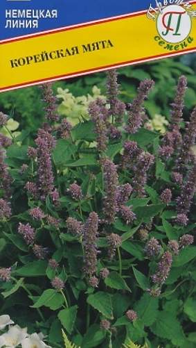 Мята Корейская (престиж) 0,05 гр  – купить в г. Омск
