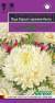 Астра Леди Корал кремово-белая (гавриш) 0,05 гр  – купить в г. Омск