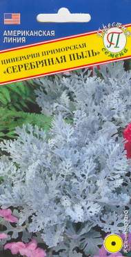 Цинерария Серебряная пыль (престиж) 100шт