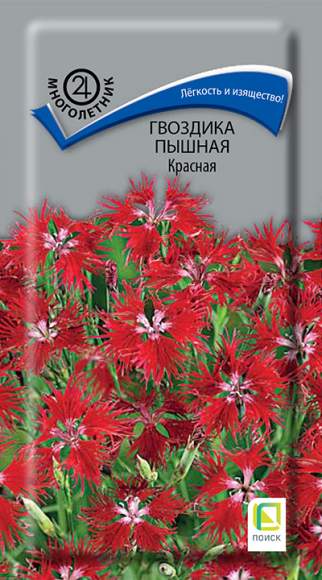 Гвоздика пышная Красная (поиск) 0,1гр многолетник  – купить в г. Омск