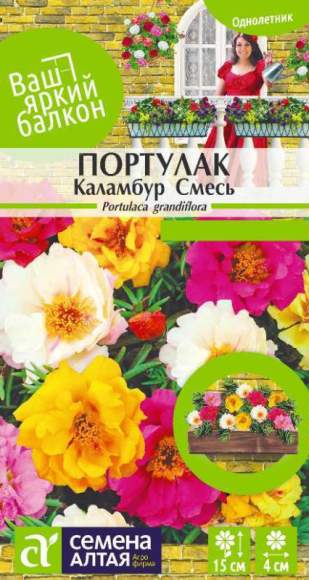 Портулак Каламбур смесь (семена Алтая) 0,1 гр  – купить в г. Омск